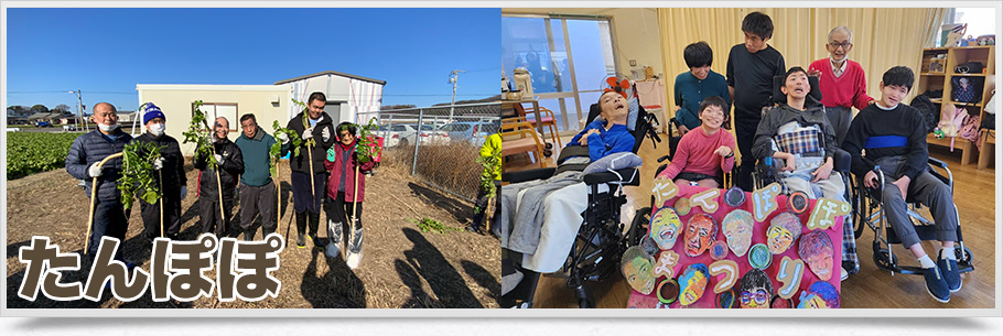 たんぽぽ活動