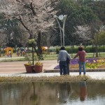 dscf7858